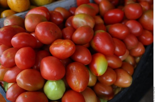 Trump Revierte Aranceles a Productos Agrícolas para Contener Inflación