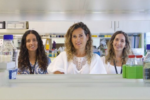 Investigadoras Portuguesas Criam "Supercélulas CAR-T" para Combater Tumores Sólidos