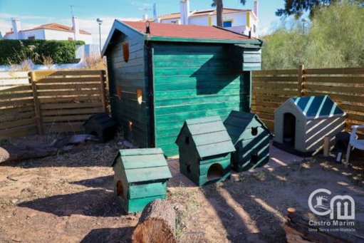 Castro Marim Investe no Bem-Estar Animal com Forte Apoio da Comunidade