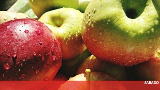 Morte trágica de menino de dois anos por engasgamento