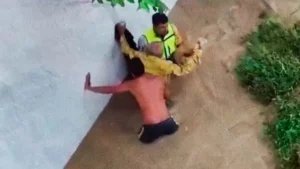 Solidaridad Nacional se Despliega ante Inundaciones en Veracruz