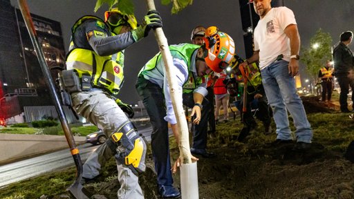 Avanza Proyecto 'Bosques Ciudadanos' con Reforestación Nocturna en el Centro de Monterrey