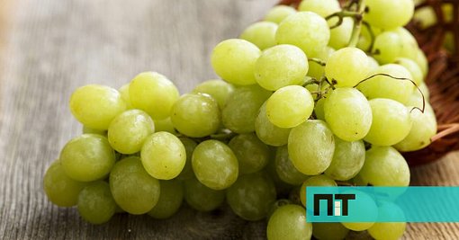 Uvas com Sabores a Algodão-Doce e Manga Chegam aos Supermercados Continente
