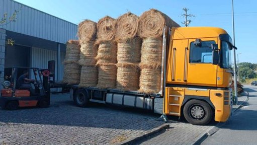 Ponte da Barca Reforça Apoio a Produtores Pecuários Afetados por Incêndios