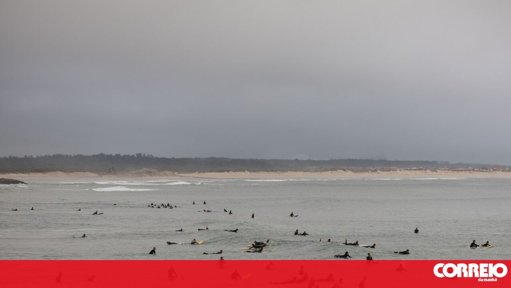 Festival Gliding Barnacles regressa à Figueira da Foz com foco na gastronomia e inauguração de museu