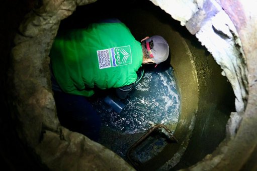 Acciones de gestión ambiental y sostenibilidad en Pereira