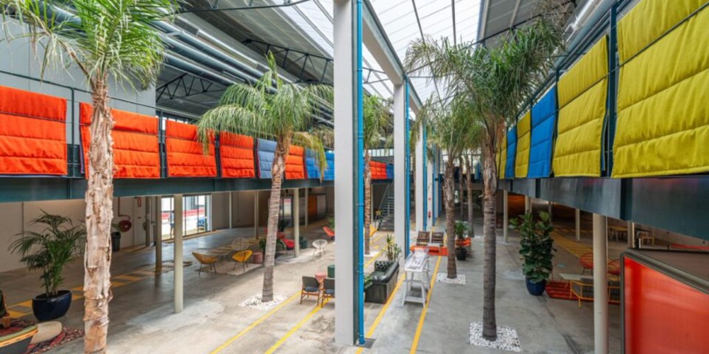 Grupo espanhol Plexus Tech adquire a portuguesa BI4ALL para escalar em IA e Dados