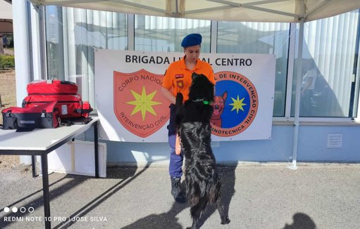 Unidades Caninas K9 Demonstram Capacidades em Exercício de Busca e Salvamento na Mealhada