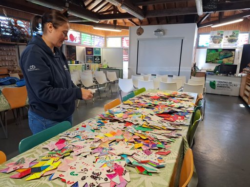 Crianças da Mealhada criam estrelas de Natal para apoiar Hospital Pediátrico de Coimbra