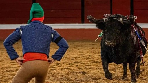 Tragédia dupla no Campo Pequeno: Espectador morre após assistir a colhida fatal