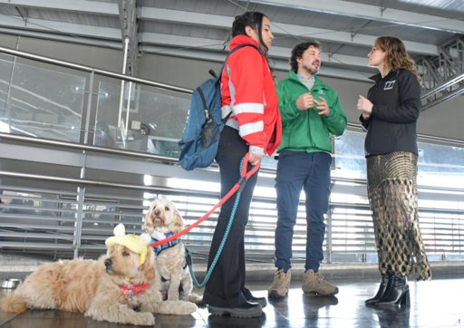 TransMilenio y el IDPYBA se alían para proteger a los animales en el sistema de transporte