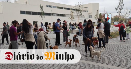 Expo Animal em Braga Atinge Recorde de Visitantes e Afirma-se como Evento Familiar