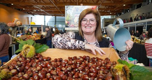 Feira da Castanha e Paladares de Outono em Trancoso