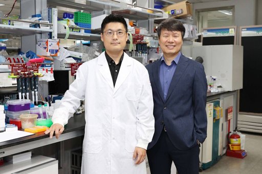 Descoberto mecanismo molecular que explica a depressão em idosos