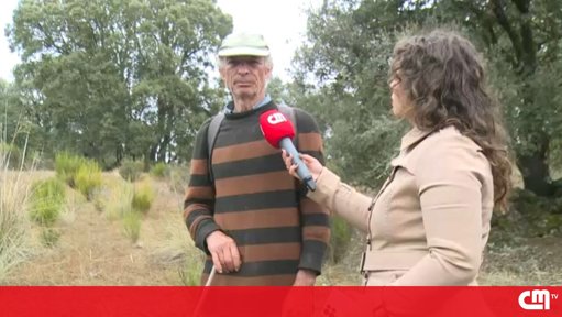 Ataques de lobos em Miranda do Douro causam prejuízos e medo entre pastores