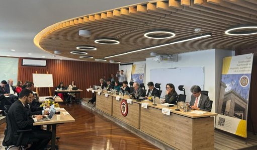 Senado define elección clave para la Corte Constitucional en medio de tensiones políticas