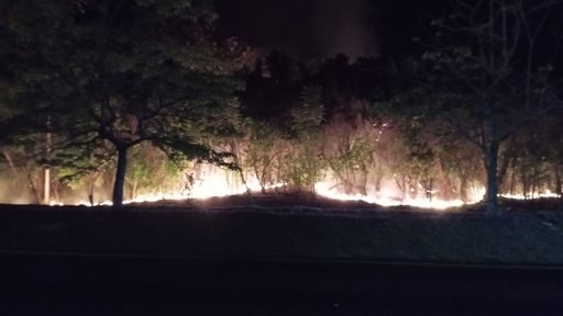 Incendios forestales azotan al Tolima, afectando cientos de hectáreas y amenazando la economía local