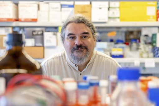 Investigador da UAlg premiado por avanços na prevenção de doenças cardíacas congénitas