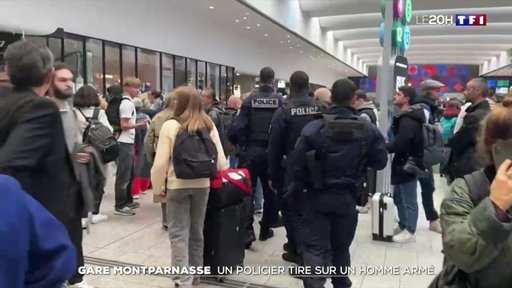 Gare Montparnasse : un homme menaçant des voyageurs avec un couteau neutralisé par la police