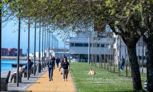 Viana do Castelo Vence Três Categorias no Prémio Autarquia do Ano