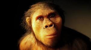 Descubren nueva especie de Australopithecus que coexistió con los primeros Homo