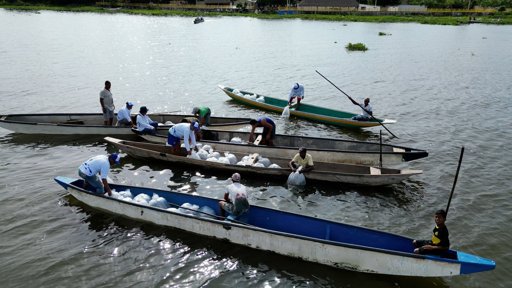 Plan Pesquero del Atlántico Recibe Reconocimiento Global de la FAO