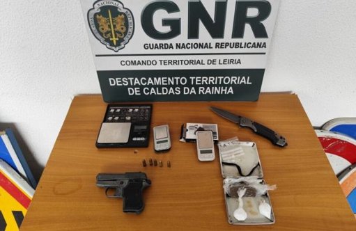 Fiscalização Policial em Alcobaça Revela Infrações ao Bem-Estar Animal