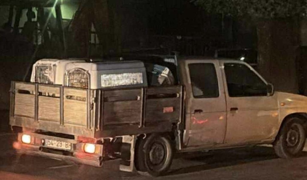 Evacuação de Canil em Tabuaço Durante Incêndio Mobiliza Comunidade