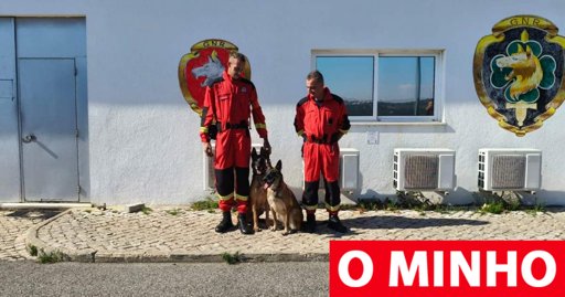 Cães Heróis: Bonny e Itogo dos Bombeiros de Famalicão Recebem Certificação para Salvamentos