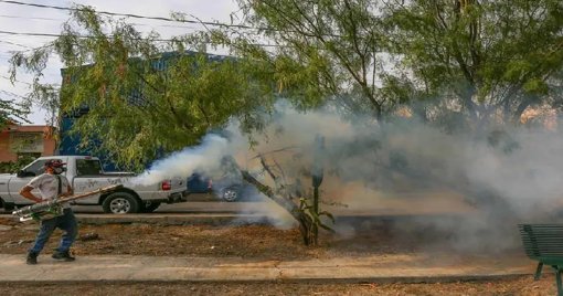 Aumentan a 48 las muertes por dengue en México; 16 en la última semana