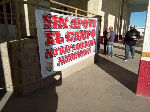 Productores agrícolas exigen renegociar el T-MEC y priorizar el campo mexicano ante importaciones