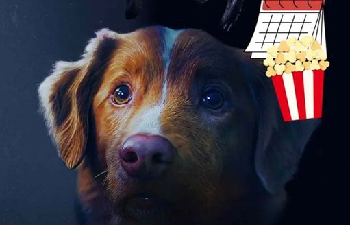 Good Boy: la película de terror protagonizada por un perro llega a México en octubre