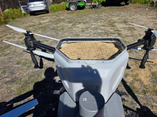 Drones e sementes trazem esperança à Serra Amarela após incêndios devastadores