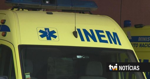 Homem espera dez horas por antídoto para picada de víbora