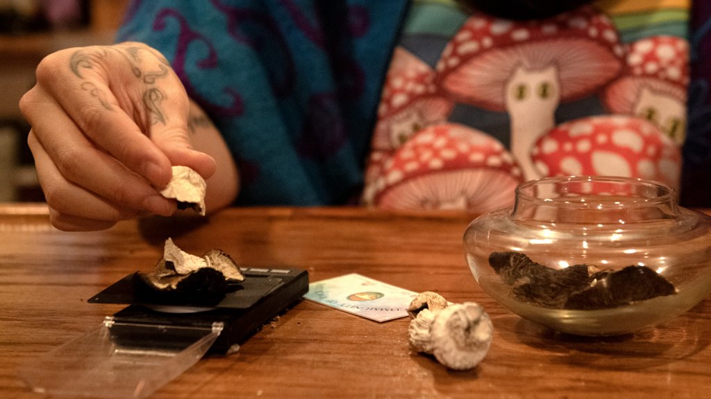 República Checa Aprova Uso Medicinal de Psilocibina para Saúde Mental