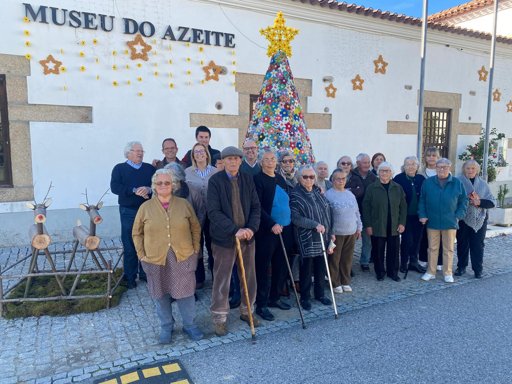 Idosos de Sarnadas de Ródão enchem freguesia de cor com árvores de Natal feitas de tecido