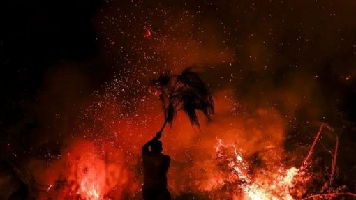 Incêndios em Pedrógão Grande Forçam Evacuação de Cinco Aldeias