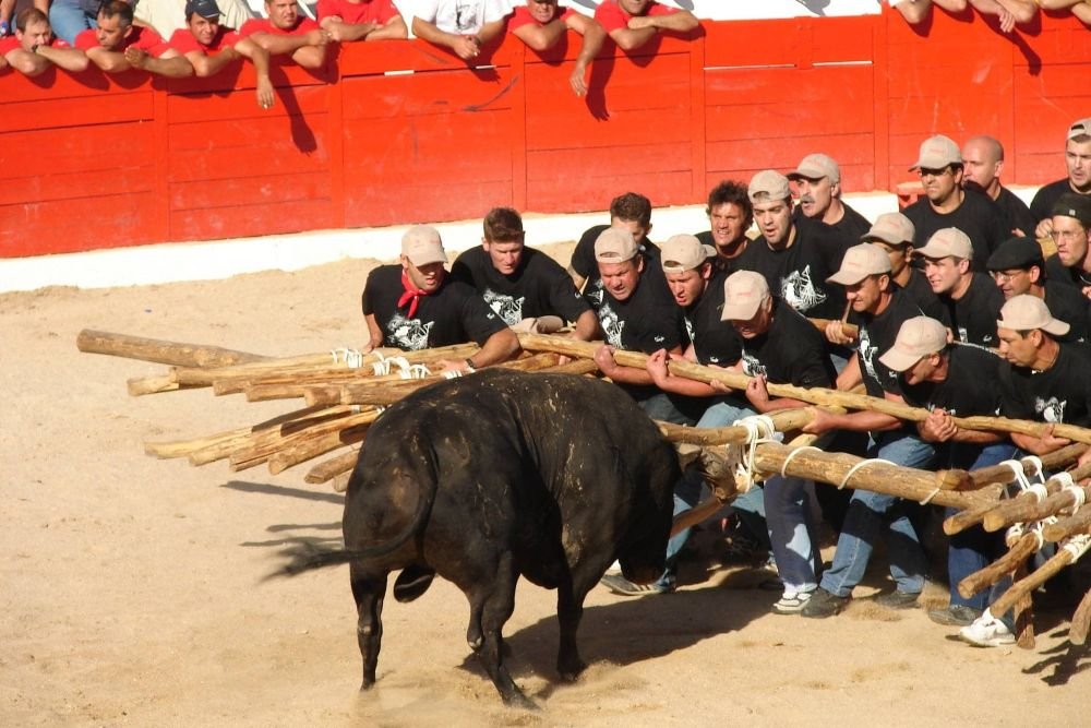 Capeias Arraianas do Sabugal reafirmam estatuto de Património Cultural Imaterial