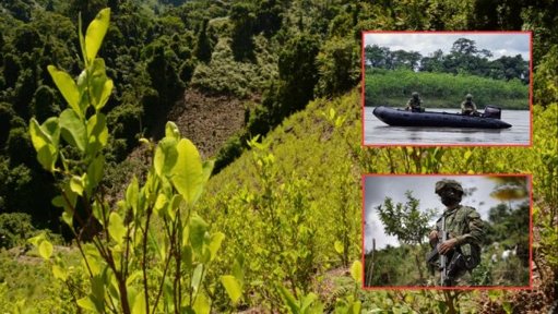 Descertificación de EE.
UU. a Colombia en la Lucha Antidrogas