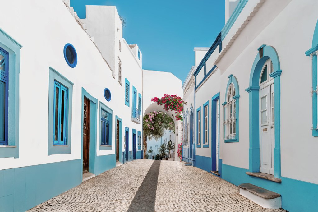 Alerta de Gripe Aviária no Algarve após deteção de foco em Olhão