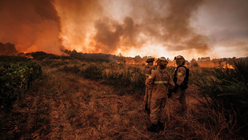 Voluntários da "Just a Change" reabilitam habitações para famílias carenciadas