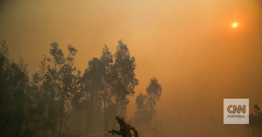 Proposta de Isenção de IVA em Rações para Agricultores Afetados por Incêndios