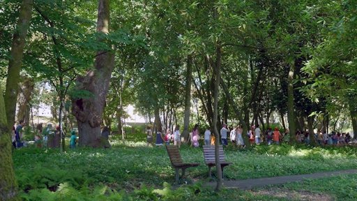 Festival Outono Quente em Viseu Explora a Arte como Terapia