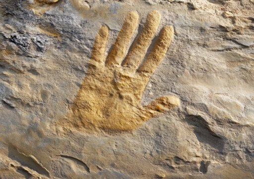 Fósseis Inéditos Revelam as Mãos e Capacidades do Hominídeo *Paranthropus boisei*