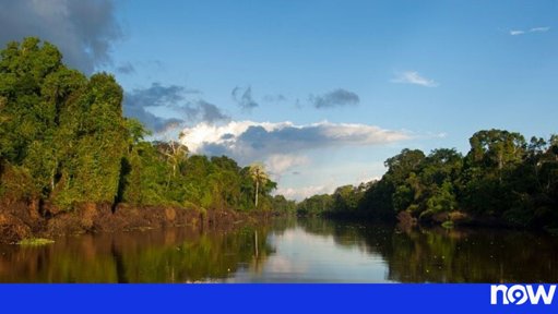 Flotilha Indígena Navega a Amazónia para Denunciar Exploração Florestal na COP30