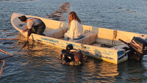 TVI aposta em "Terra Forte", uma superprodução que une os Açores e o Brasil