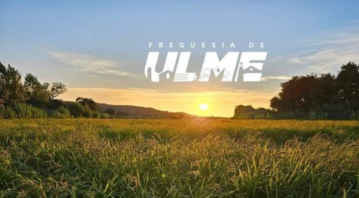 Ulme Celebra o Arroz como Símbolo de Identidade no Festival Gastronómico 'Já Te Dou o Arroz'