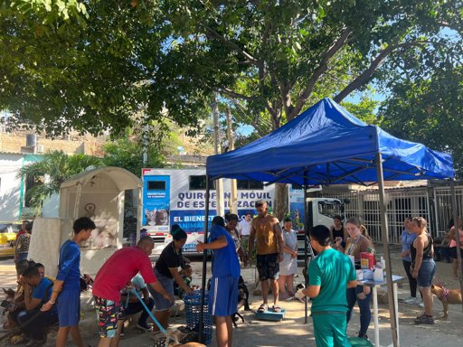 Santa Marta bate récord en bienestar animal con 14.200 esterilizaciones gratuitas