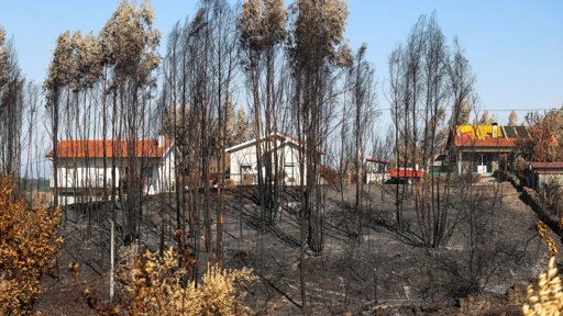 Aprovadas Medidas de Apoio às Vítimas dos Incêndios Rurais