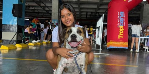 Exitosa jornada de bienestar y adopción animal beneficia a más de 500 mascotas en Ibagué